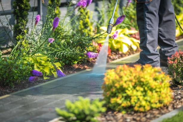 Best Patio and Deck Pressure Washing  in Cape St Claire, MD