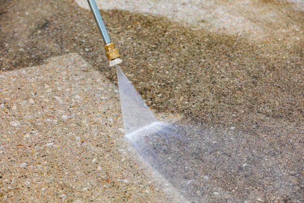 Animal Enclosure Cleaning in Cape St Claire, MD